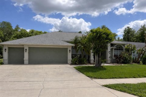 House in Trinity, Florida 4 bedrooms, 225.38 sq.m. № 2214086