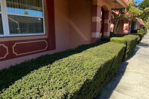 Condominio en venta en Orlando, Florida, 1 dormitorio, 67.82 m2 № 1644806 - foto 3