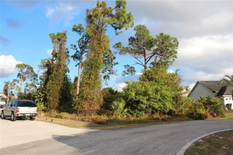Terreno en venta en Port Charlotte, Florida № 2108312 - foto 8