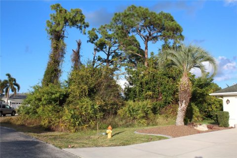 Terreno en venta en Port Charlotte, Florida № 2108312 - foto 4