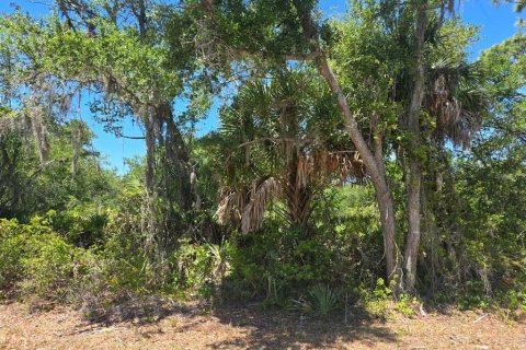 Land in Port Charlotte, Florida № 2162450