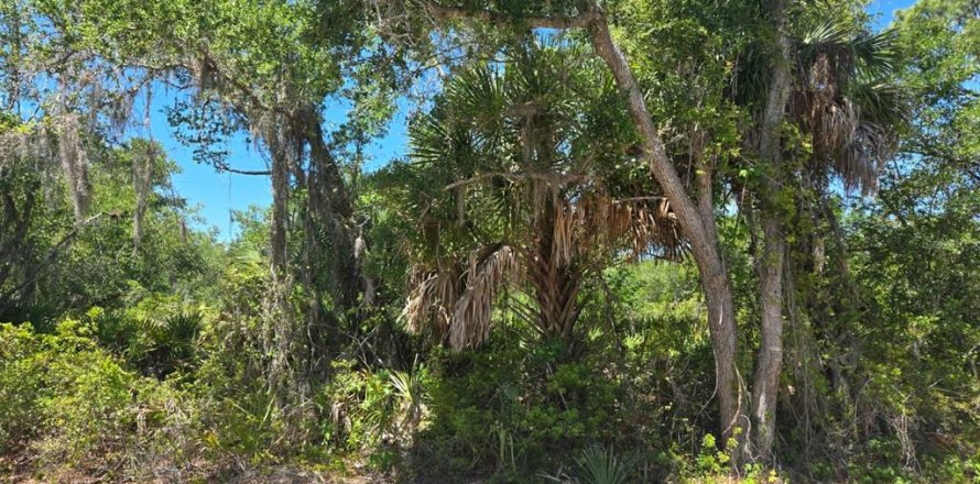 Land in Port Charlotte, Florida № 2162450