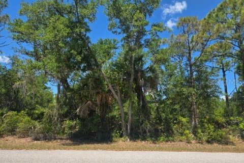 Land in Port Charlotte, Florida № 2162450 - photo 3
