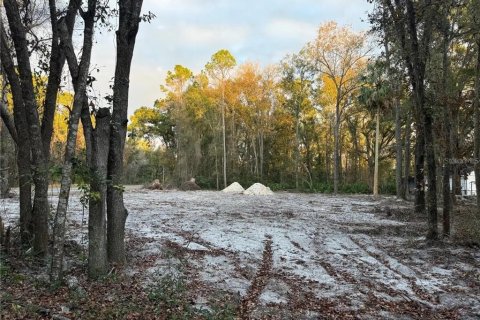 Land in Chiefland, Florida № 2163080 - photo 2