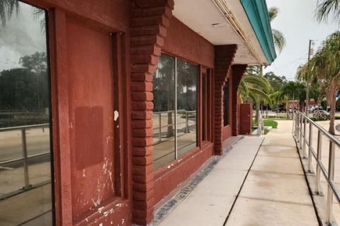 Immobilier commercial à louer à Clearwater, Floride: 498.98 m2 № 1347273 - photo 8