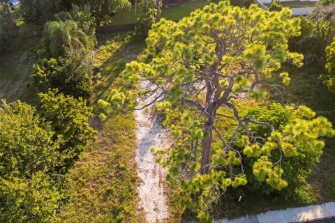 Land in Sarasota, Florida № 2383574 - photo 3