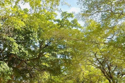 Copropriété à louer à Miami, Floride: 1 chambre, 83.43 m2 № 1971183 - photo 17