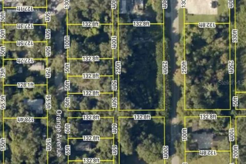 Land in Sanford, Florida № 2393970 - photo 5