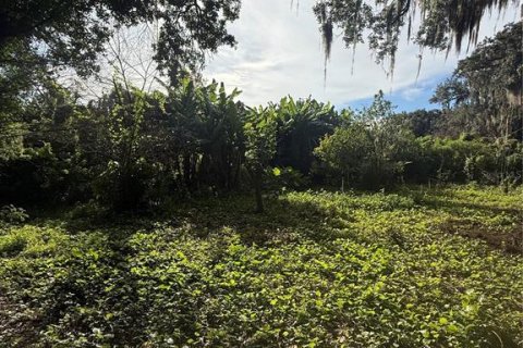 Land in Sanford, Florida № 2393970 - photo 2