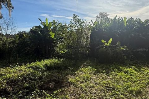 Land in Sanford, Florida № 2393970