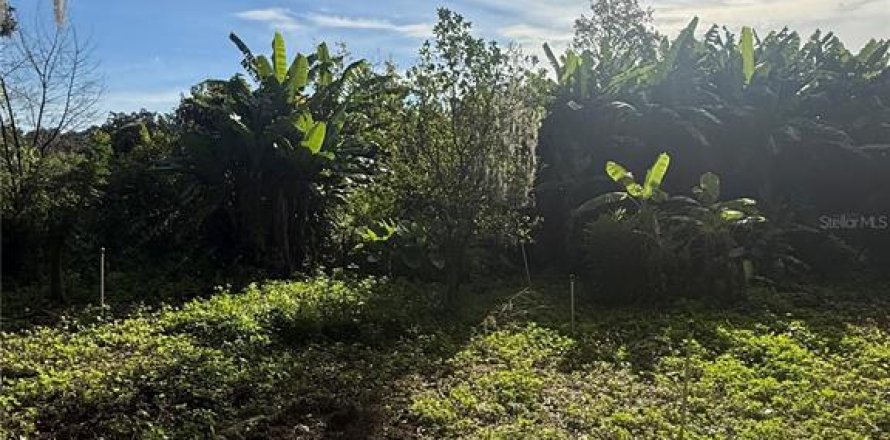 Land in Sanford, Florida № 2393970