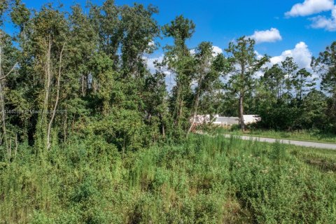 Immobilier commercial à vendre à Sebring, Floride № 2158101 - photo 3