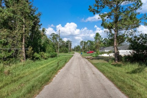 Immobilier commercial à vendre à Sebring, Floride № 2158101 - photo 4