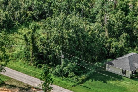 Immobilier commercial à vendre à Sebring, Floride № 2158101 - photo 6