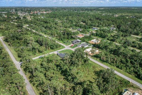 Immobilier commercial à vendre à Sebring, Floride № 2158101 - photo 13