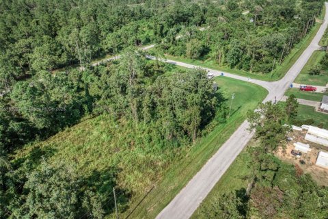 Immobilier commercial à vendre à Sebring, Floride № 2158101 - photo 8