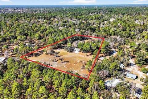 Villa ou maison à louer à Brooksville, Floride: 4 chambres, 244.33 m2 № 2199232 - photo 23
