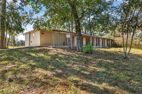 Villa ou maison à louer à Brooksville, Floride: 4 chambres, 244.33 m2 № 2199232 - photo 19