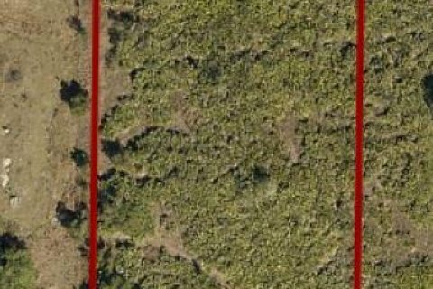 Commercial property in Okeechobee, Florida № 2179060 - photo 2