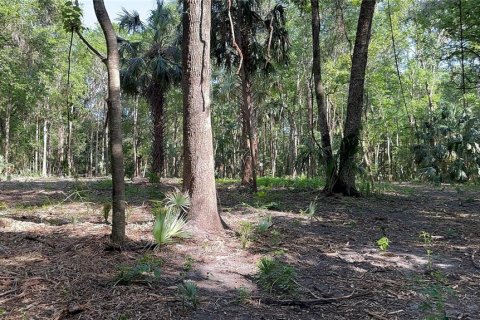 Land in Belleview, Florida № 1725064 - photo 6