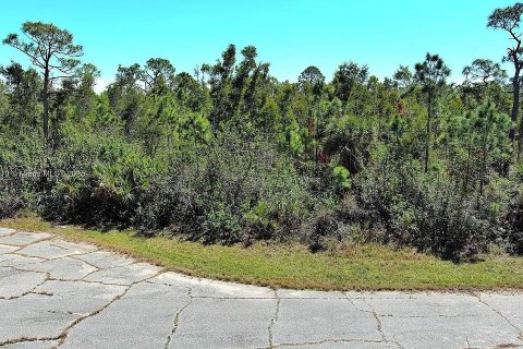 Land in Placida, Florida № 2165654