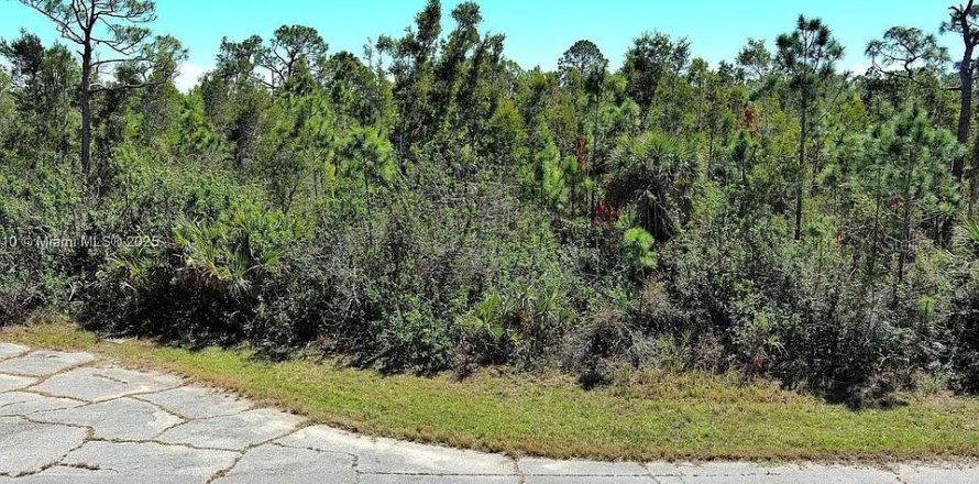 Land in Placida, Florida № 2165654