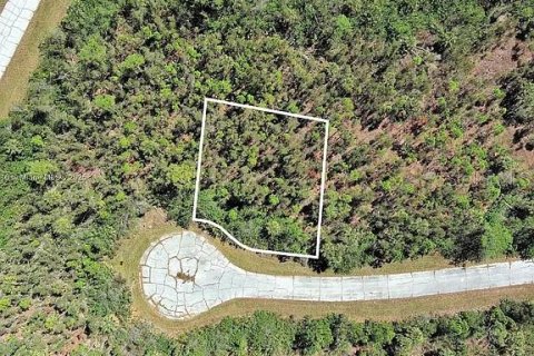 Land in Placida, Florida № 2165654 - photo 2