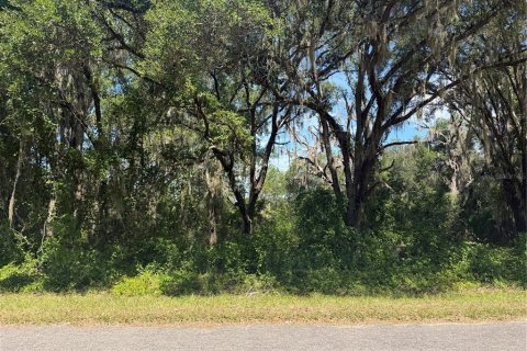 Land in Ocklawaha, Florida № 2203704
