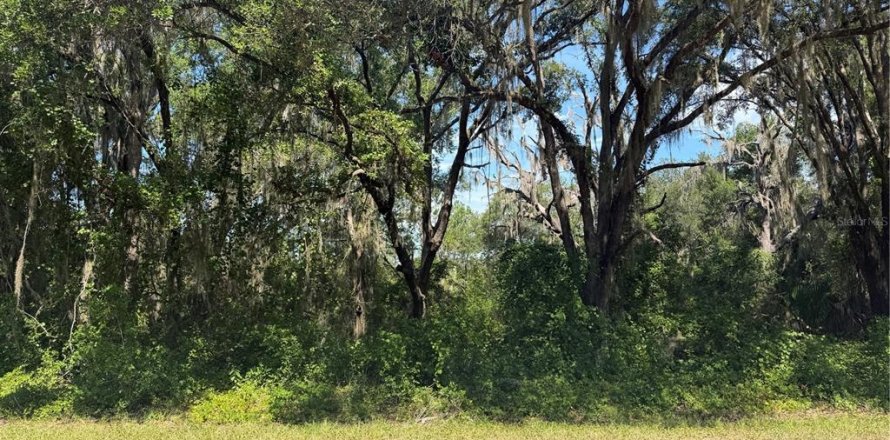 Land in Ocklawaha, Florida № 2203704