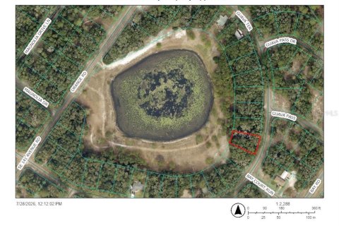 Land in Ocklawaha, Florida № 2203704 - photo 3