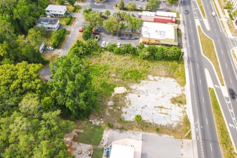 Land in Gainesville, Florida № 1724933 - photo 10
