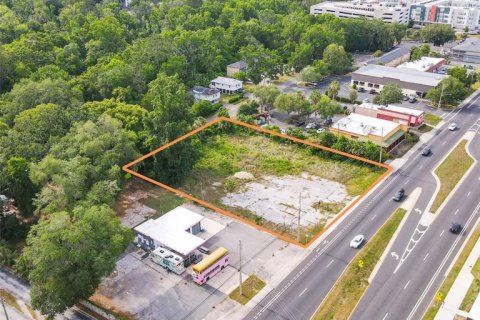 Land in Gainesville, Florida № 1724933 - photo 3