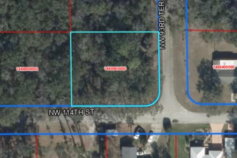 Land in Chiefland, Florida № 2163057