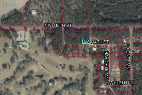 Land in Chiefland, Florida № 2163057 - photo 2