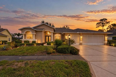 Villa ou maison à Hudson, Floride 3 chambres, 219.71 m2 № 2388562