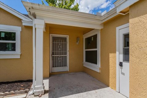 House in New Port Richey, Florida 2 bedrooms, 94.85 sq.m. № 1805267 - photo 18