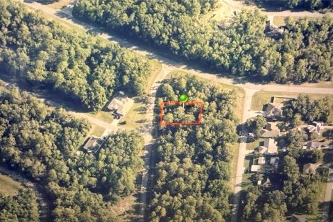 Land in Citrus Springs, Florida № 2165780
