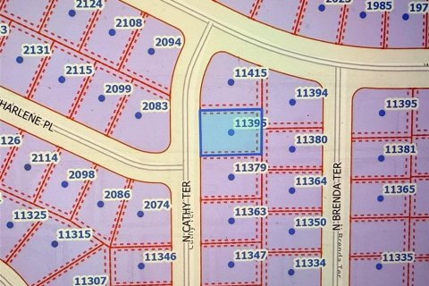 Land in Citrus Springs, Florida № 2165780 - photo 2
