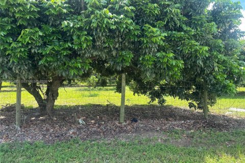 Immobilier commercial à vendre à Homestead, Floride № 2058198 - photo 23