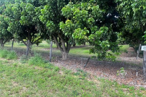 Immobilier commercial à vendre à Homestead, Floride № 2058198 - photo 3