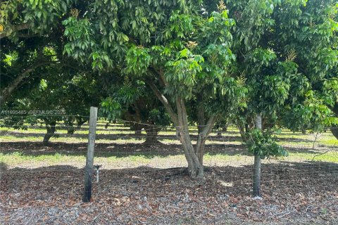 Immobilier commercial à vendre à Homestead, Floride № 2058198 - photo 11