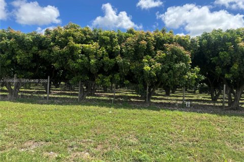 Immobilier commercial à vendre à Homestead, Floride № 2058198 - photo 17