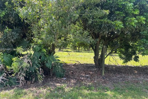 Immobilier commercial à vendre à Homestead, Floride № 2058198 - photo 26