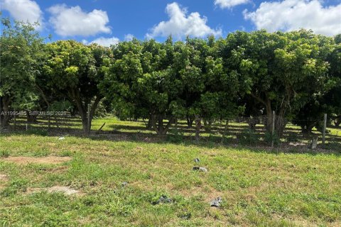 Immobilier commercial à vendre à Homestead, Floride № 2058198 - photo 16