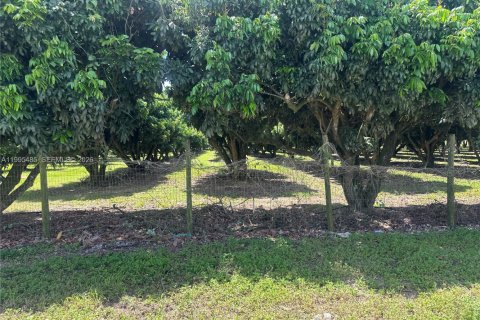 Immobilier commercial à vendre à Homestead, Floride № 2058198 - photo 20