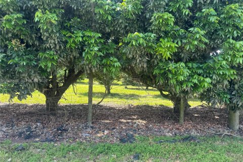 Immobilier commercial à vendre à Homestead, Floride № 2058198 - photo 24