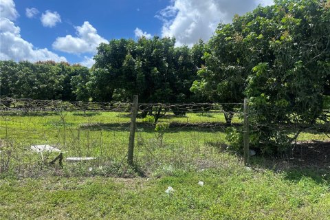Immobilier commercial à vendre à Homestead, Floride № 2058198 - photo 22