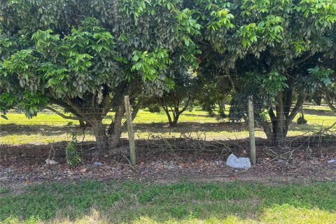 Immobilier commercial à vendre à Homestead, Floride № 2058198 - photo 21