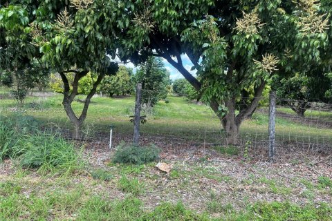 Immobilier commercial à vendre à Homestead, Floride № 2058198 - photo 5