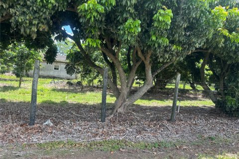 Immobilier commercial à vendre à Homestead, Floride № 2058198 - photo 10